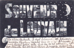 LEUVEN - LOUVAIN -  Souvenir De Louvain - 1905 - Leuven
