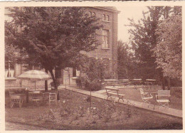 LOVENDEGEM - Soeurs De La Charité - Zusters Van Liefde -  Institut Bernadette - Coin De Jardin - Lovendegem