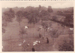 LOVENDEGEM - Soeurs De La Charité - Zusters Van Liefde -  Institut Bernadette - La Prairie - Lovendegem