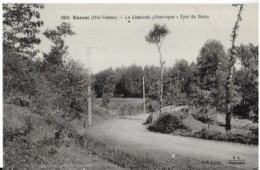 87  SUSSAC. LE LIMOUSIN PITTORESQUE . PONT DE BARRE - Altri & Non Classificati