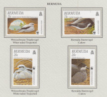 BERMUDA 2001 WWF Birds MiNr. 785 - 788 MNH(**) Fauna 631 - Autres & Non Classés