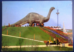 CPM CARTE POSTALE LE DINOSAURE DE BÂLE ( SUISSE ) - Autres & Non Classés