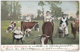 Cpa Bébé De Bon Biberon (vaches Et Bébés Poussette )de Nieuwe Melkinrichting 1907 Adressé Au Consul General De Suede - Bebes