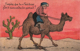 Chameau - Cpa Illustrateur - Femme Sur Un Chameau En Afrique Du Nord - Humour Humoristique - Other & Unclassified