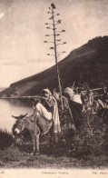 Chasseurs Arabes - Types Chasse Fusils - Afrique Du Nord Algérie Maroc Tunisie - Hunt Hunting - Scene & Tipi