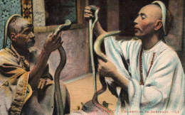 Maroc - Charmeurs De Serpents - Types Snake - Morocco - Autres & Non Classés