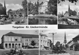 Torgelow (Kreis Ueckermünde) Teilansichten Gl1985 #169.244 - Altri & Non Classificati