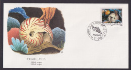 Yugoslawija Jugoslawien Fauna Muschel Gibbula Magnus Schöner Künstler Brief - Storia Postale