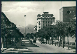 Cuneo Città Corso 4 Novembre Auto Foto FG Cartolina MZ0772 - Cuneo