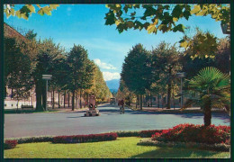 Cuneo Città Viale Angeli Foto FG Cartolina MZ0780 - Cuneo