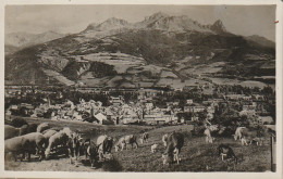 XXX -(04) BARCELONNETTE - SES MONTAGNES - VUE GENERALE - TROUPEAUX AUX PATURAGES - 2 SCANS - Barcelonnetta