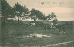 GENK / KELGTERHOF HOEVE - Genk