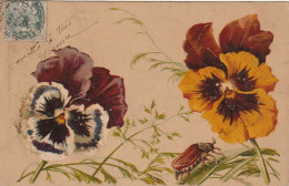 XXX - FLEURS , PENSEES ET HANNETON - ILLUSTRATEUR  - 2 SCANS - 1900-1949