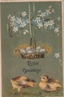 XXX - " EASTER GREETINGS " -  CARTE FANTAISIE GAUFREE - PANIERE D' OEUFS ET COUPLE DE POUSSINS - 2 SCANS - Ostern