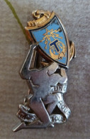 Insigne 41 ème Régiment De Transmissions C.c.s Drago - Landmacht