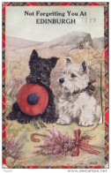 Cpa Ak Pk Scotland  - Carte à Système à Dérouler -not Forgetting You At Edinburgh Chien Scottish Terrier Black And White - Autres & Non Classés