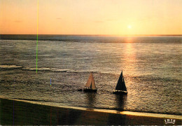 Navigation Sailing Vessels & Boats Themed Postcard Bassin D'Arcachon - Zeilboten