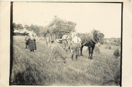 - Dpts Div. -ref-BN420- Agriculture - Carte Photo Scène Rentrée Des Blés - Attelage Cheval - - Cultures