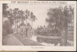 NEDERBRAKEL TOP BRONNEN   VUE DES GROTTES    ZIE AFBEELDINGEN - Brakel