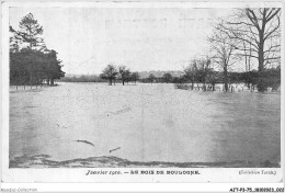 AJTP3-75-0304 - INNONDATION - Le Bois De Boulogne  - De Overstroming Van 1910