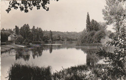 XXX -(36) ENVIRONS DE LE BLANC - VUE SUR LA CREUSE - LE MOULIN DE ST AIGNY - 2 SCANS - Altri & Non Classificati