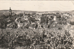 XXX -(39) ARBOIS - VUE GENERALE - VIGNES - 2 SCANS - Arbois