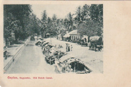 XXX - NEGOMBO ( CEYLON ) - OLD DUTCH CANAL - FISHING BOATS - BATEAUX DE PECHE - Sri Lanka (Ceylon)