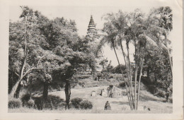 XXX -( CAMBODGE ) TEMPLE AU CAMBODGE - CARTE PHOTO - Cambodge