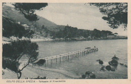 XXX - GOLFO DELLA SPEZIA ( ITALIA ) - SPIAGGIA DI FIASCHERINO - 2 SCANS - La Spezia