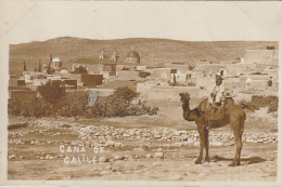 XXX - CANA ( ISRAEL ) - CANA OF GALILEE - PANORAMA - 2 SCANS - Israele