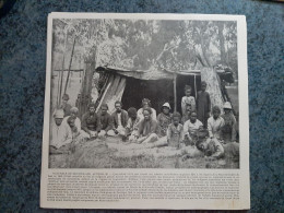 AFFICHE  - PHOTOGRAPHIQUE   -   NATURELS DE QUEENSLAND EN AUSTRALIE   -  COLONIES AUSTRALIENNES ANGLAISES - Posters