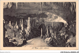 AJWP10-1016 - GROTTE - GROTTE DEMANIALI DI POSTUMIA  - Andere & Zonder Classificatie