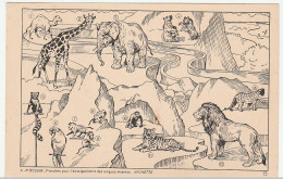 Planche Pour L'enseignement Des Langues Vivantes /BESSON/ HACHETTE: Animaux, Faune - Ecoles