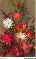 AJRP9-0966 - FLEURS - CRYSANTHEMES - Blumen