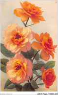 AJRP9-0901 - FLEURS - ROSE  - Blumen