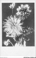 AJRP10-1052 - FLEURS - AQUARELLE  - Flowers