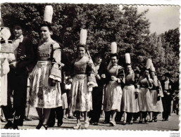 29 Jeunes De Bretagne N°1054 Groupe De Bigoudens Fêtes De Cornouaille Pont L'Abbé Penmarc'h Folklore Coiffes Costumes - Penmarch