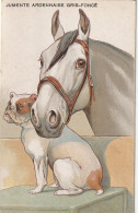 XXX - " JUMENTE ARDENNAISE GRIS FONCE " - TETE DE CHEVAL ET CHIEN BULLDOG - ILLUSTRATEUR - 2 SCANS - 1900-1949