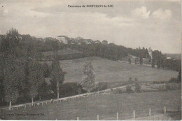 XXX -(52) PANORAMA DE MONTIGNY LE ROI - LIB. THEVENIN , MONTIGNY LE ROI - 2 SCANS - Montigny Le Roi