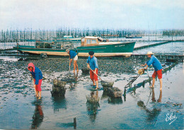 Navigation Sailing Vessels & Boats Themed Postcard Bassin D'Arcachon Travaux Ostreicoles - Zeilboten