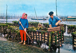 Navigation Sailing Vessels & Boats Themed Postcard Bassin D'Arcachon Travaux Ostreicoles - Voiliers