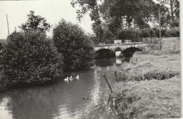 XXX -(52) SARREY - LE PONT - 2 SCANS - Autres & Non Classés