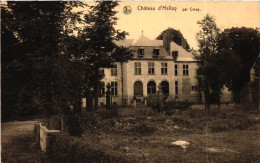 CINEY / CHATEAU D HALLOY - Ciney