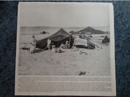 AFFICHE  - PHOTOGRAPHIQUE   -   COMPLEMENT DE CARAVANE DANS LE DESERT DU SAHARA - Posters