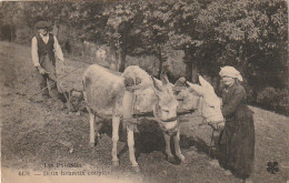 XXX -  LES PYRENEES - DEUX HEUREUX COUPLES  - PAYSANS AVEC ATTELAGE D' ANES - LABOURAGE  - 2 SCANS - Bauern