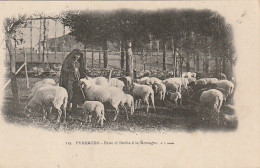 XXX - PYRENEES - PATRE ET BREBIS A LA MONTAGNE - 2 SCANS - Campesinos