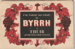 XXX -(66) THUIR - UNE PARTIE DES CHAIS DE BYRRH - DEPLIANT DE 6 CARTES : HALL D' EXPEDITION ,  ETS BYRRH , CUVES ... - Dépliants Touristiques