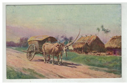 TONKIN INDOCHINE VIETNAM SAIGON #18637 COCHINCHINE ATTELAGE MOI BUFFALO BOEUFS - Vietnam