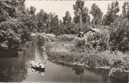 XXX -(79) LA VENISE VERTE - PROMENADE EN BATEAU VERS LA GARETTE - ANIMATION - CANOTEURS - EDIT. MARCEAU CARRIERE , NIORT - Other & Unclassified