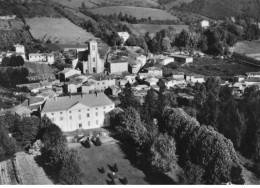 42 BELLEGARDE EN FOREZ #20843 LE CHATEAU PEILLON ET VUE GENERALE AERIENNE - Otros & Sin Clasificación